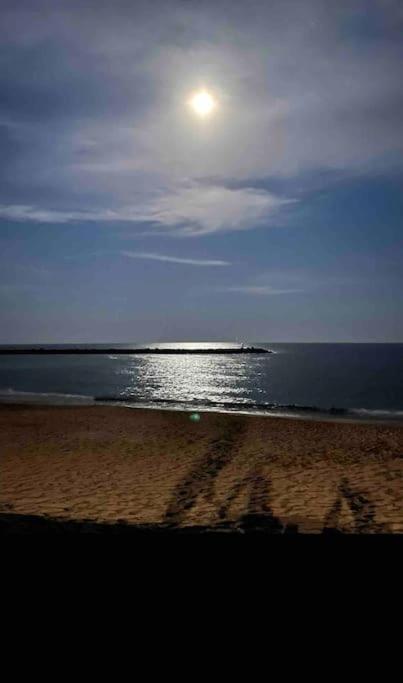 Studio Climatise Proche De Montpellier Et Des Plages Villeneuve-lès-Maguelonne Buitenkant foto